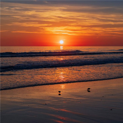 唯美海面日出日落风景头像