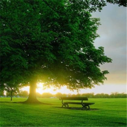 2026吉利风景头像图片