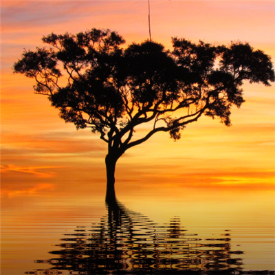 夕阳黄昏头像