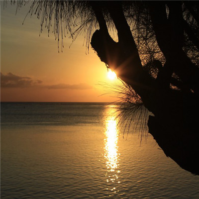 日出招财头像助转运