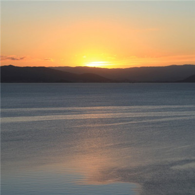 日出招财头像助转运