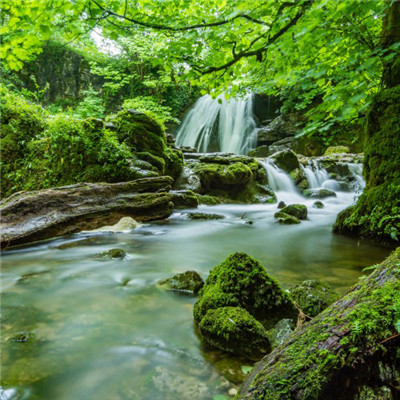 清澈溪流微信头像