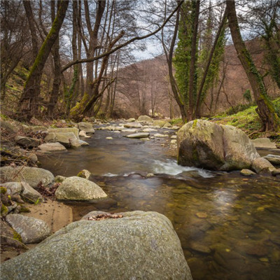 清澈溪流微信头像