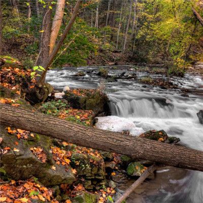 清澈溪流微信头像