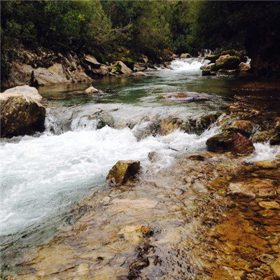 清澈溪流微信头像