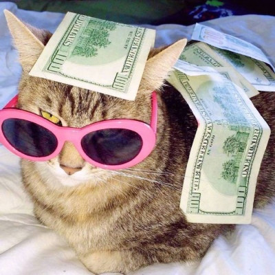 真实招财猫咪头像