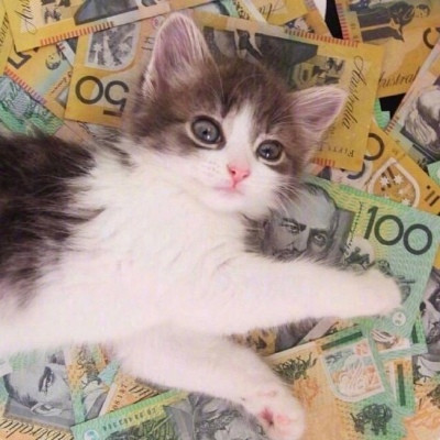 真实招财猫咪头像