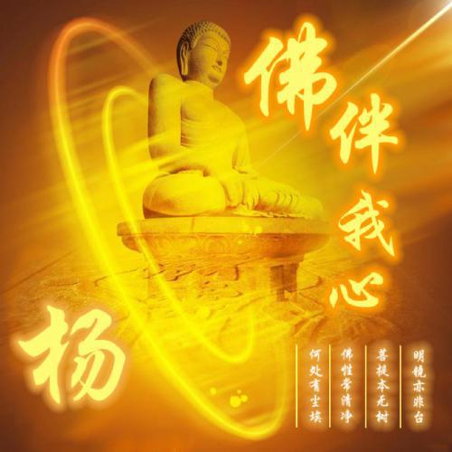2025独特好看的姓氏微信头像