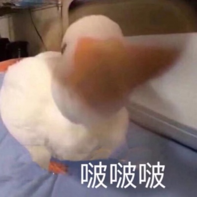 2025年最火搞笑头像图片