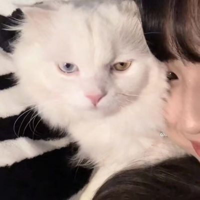 真人情侣头像小众好看赞最多的图片