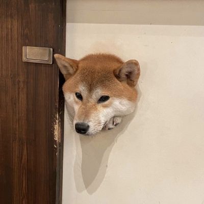 情侣头像高级小众独一无二个性图片