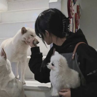 小众不易撞女生头像无水印高清图片