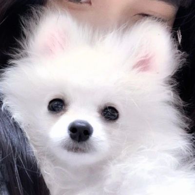 真人情侣头像小众好看赞最多的图片