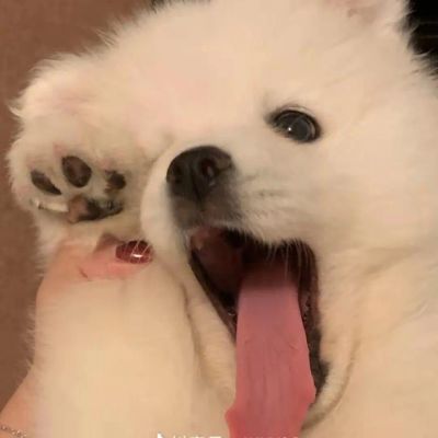 情侣头像高级小众独一无二个性图片