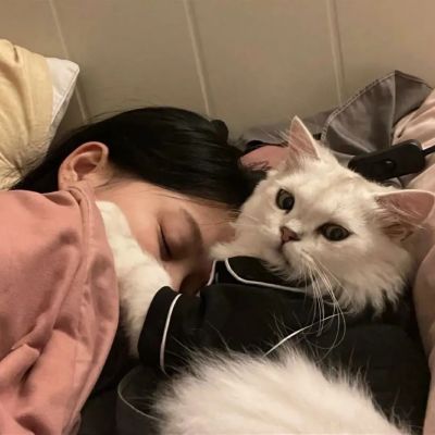 睡觉摆烂头像
