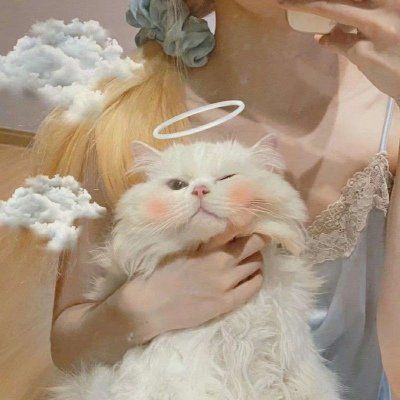 头像可爱的猫咪女生图片