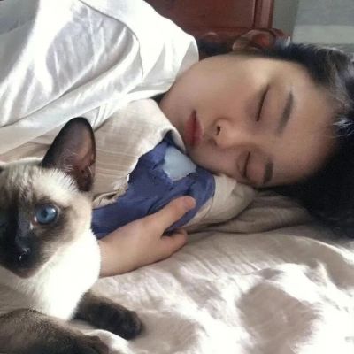 睡觉摆烂头像