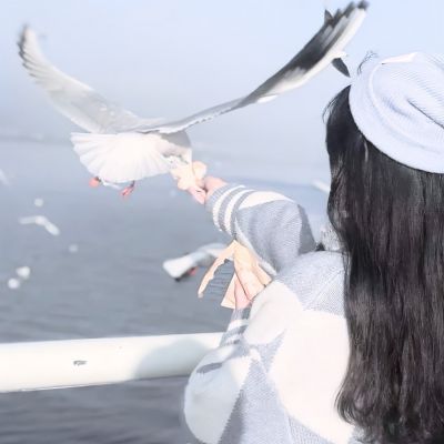 神仙高质量女生头像