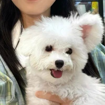 对象不是人情侣头像ins一左一右图片