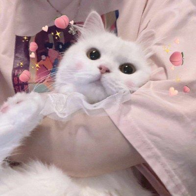 头像可爱的猫咪女生图片