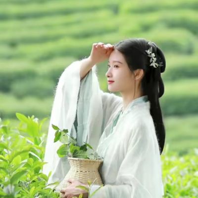 中国风汉服女头