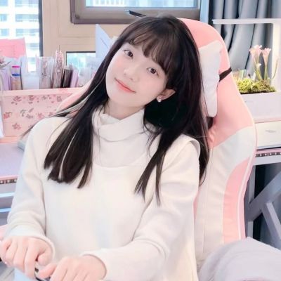 ins女头
