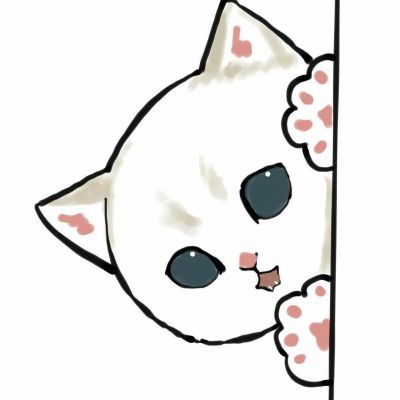 2025超火可爱猫咪情头