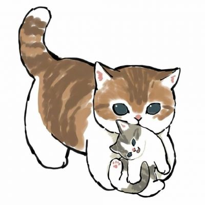 2025超火可爱猫咪情头