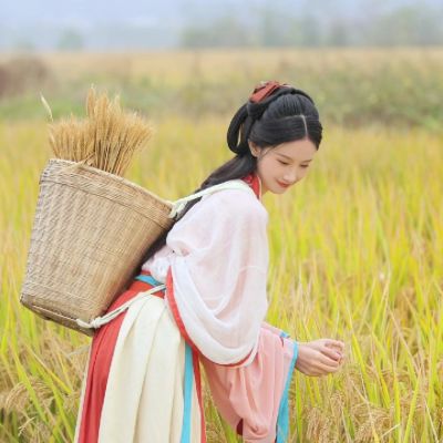 中国风汉服女头