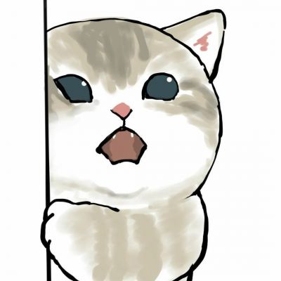2025超火可爱猫咪情头