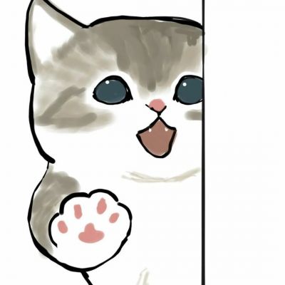 2025超火可爱猫咪情头