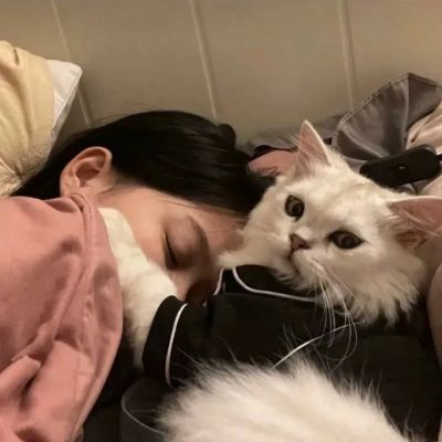 女头抱宠物