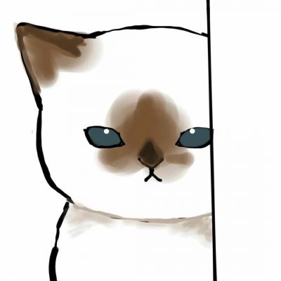 2025超火可爱猫咪情头