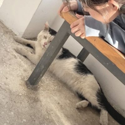 小众情头高级ins真人一对两张图片