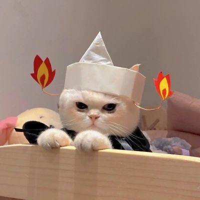 小猫难过神情的头像图片