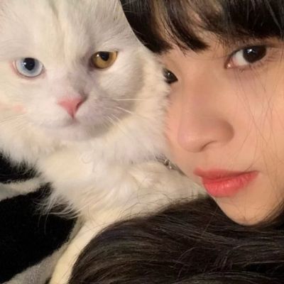 可爱抱萌宠温柔女生头像