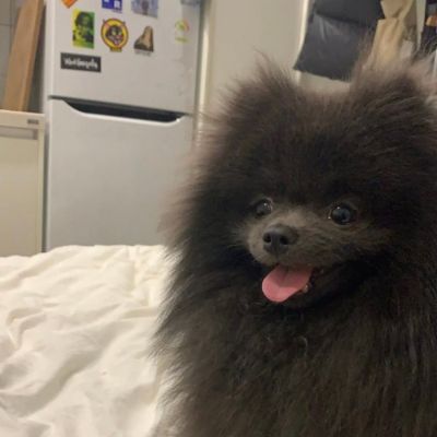 可可爱爱的情头