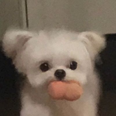 超萌可爱狗狗头像