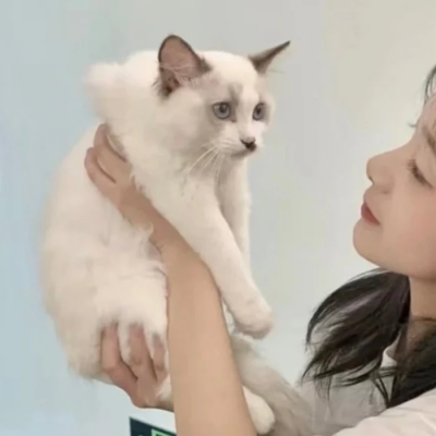 对象不是人的情侣头像