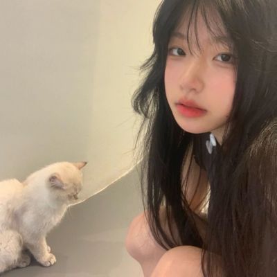 可爱对象不是人系列情头