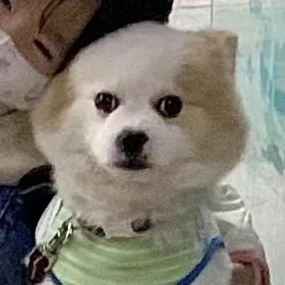 可爱搞怪对象不是人情头