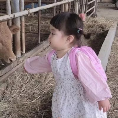 可爱搞怪对象不是人情头