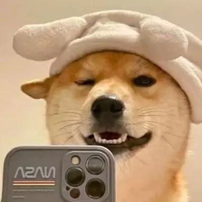 可爱搞怪动物头像