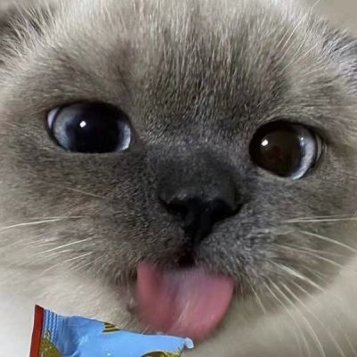 可爱搞怪动物头像