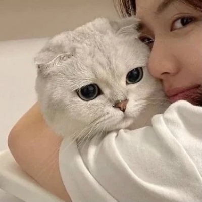 对象不是人的情侣头像