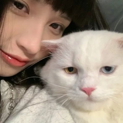 软萌可爱抱猫女生头像