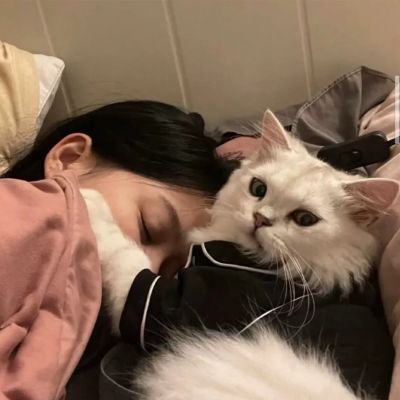 软萌可爱抱猫女生头像