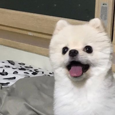 可可爱爱的情头