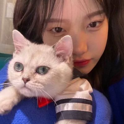 软萌可爱抱猫女生头像