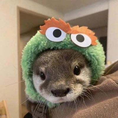 可爱搞怪动物头像